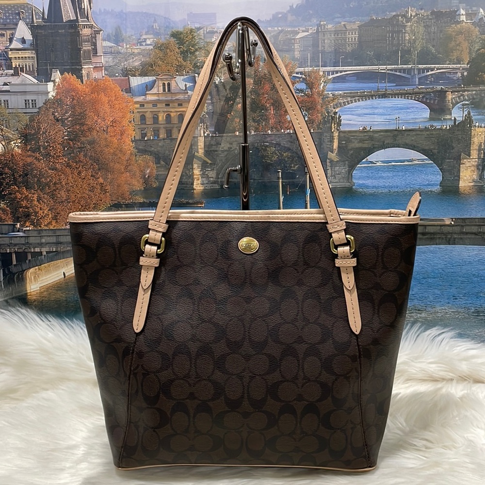 Coach Signature Tote